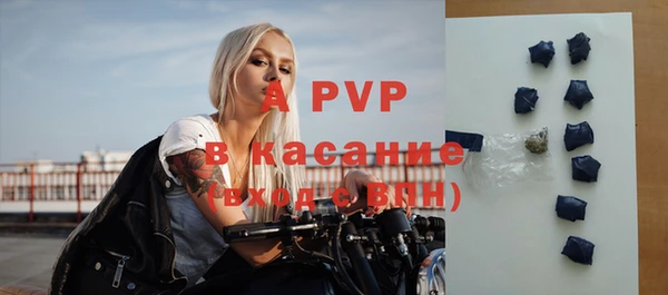 СК Краснослободск