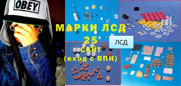 ГАЛЛЮЦИНОГЕННЫЕ ГРИБЫ Лагань