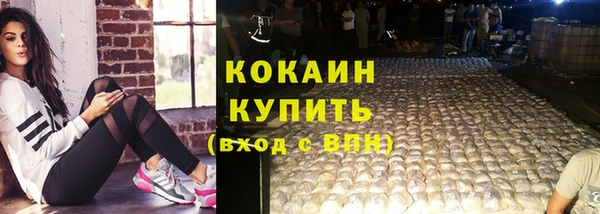 ГАЛЛЮЦИНОГЕННЫЕ ГРИБЫ Лагань