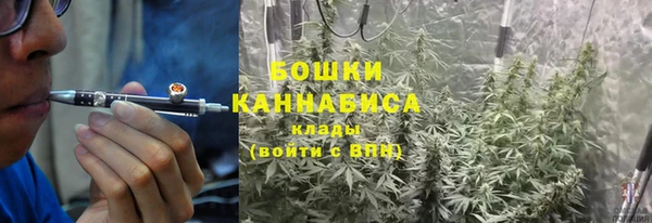 ПСИЛОЦИБИНОВЫЕ ГРИБЫ Козловка