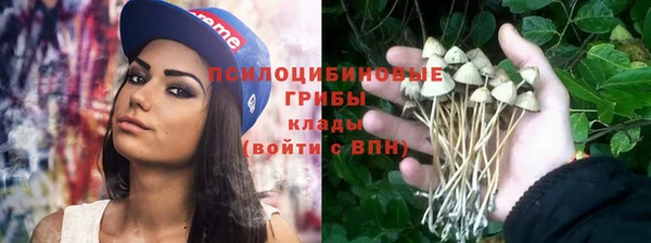 ешки Лабытнанги
